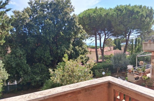 appartamento in affitto a Rosignano Marittimo