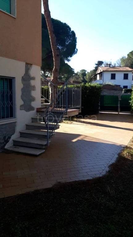 appartamento in affitto a Rosignano Marittimo in zona La Mazzanta