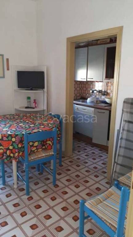 appartamento in affitto a Rosignano Marittimo