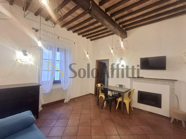 appartamento in affitto a Rosignano Marittimo