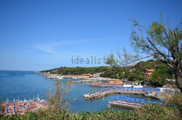 appartamento in affitto a Rosignano Marittimo in zona Castiglioncello