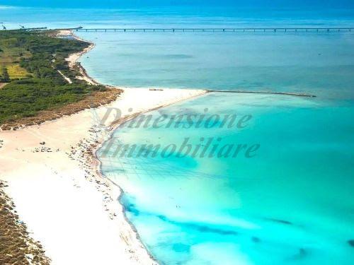 appartamento in affitto a Rosignano Marittimo in zona Vada