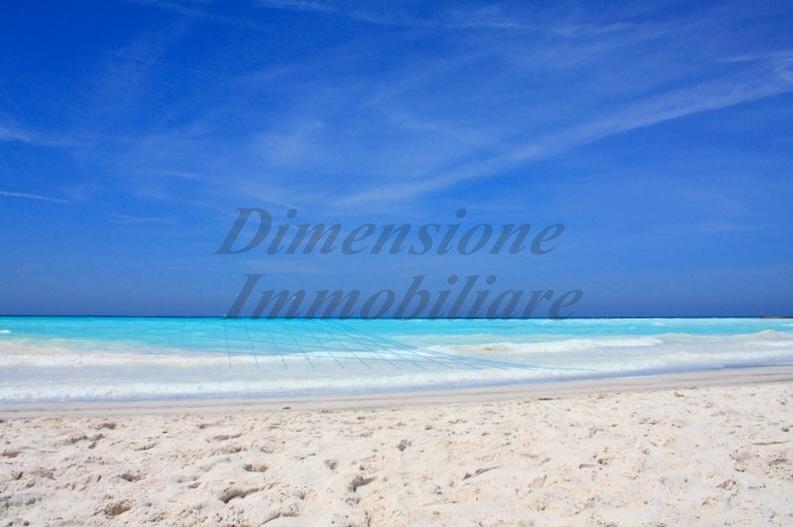 appartamento in affitto a Rosignano Marittimo in zona Vada