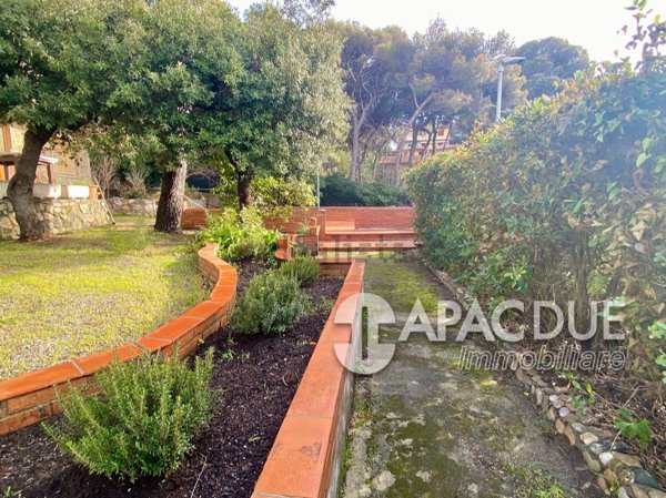 appartamento in affitto a Rosignano Marittimo