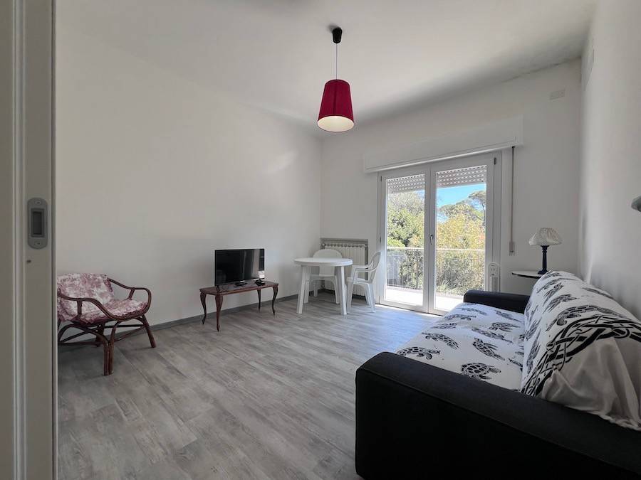 appartamento in affitto a Rosignano Marittimo in zona Castiglioncello