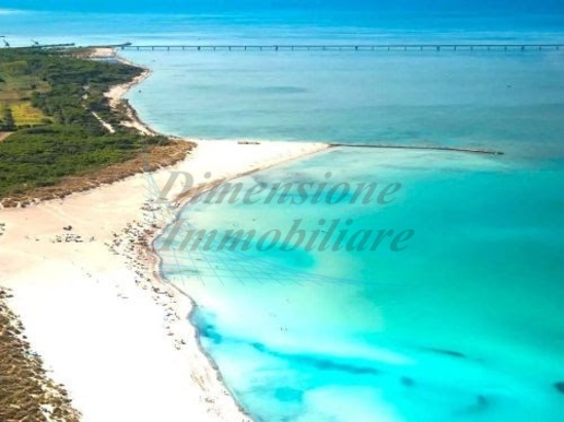 appartamento in affitto a Rosignano Marittimo in zona Rosignano Solvay