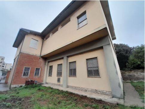 locale commerciale in affitto a Rosignano Marittimo in zona Rosignano Solvay