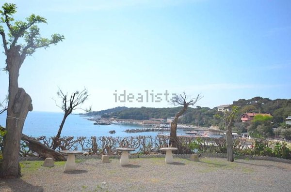 appartamento in affitto a Rosignano Marittimo in zona Castiglioncello