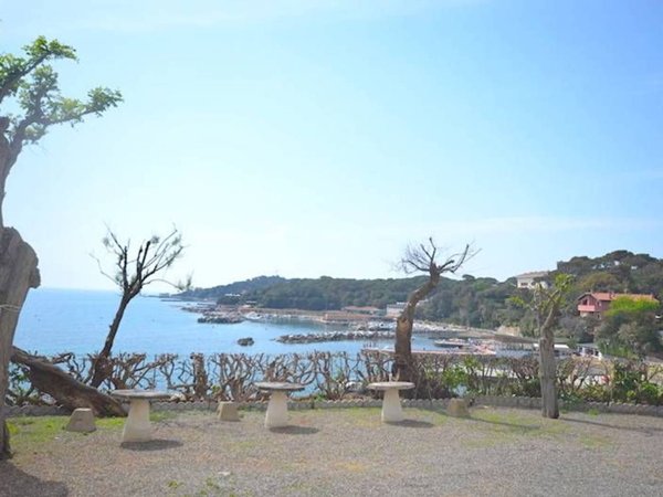 appartamento in affitto a Rosignano Marittimo in zona Castiglioncello