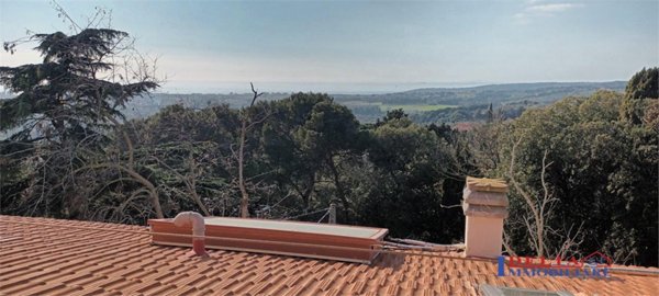 esavano in affitto a Rosignano Marittimo