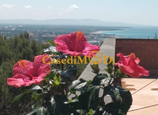 appartamento in affitto a Rosignano Marittimo in zona Castiglioncello