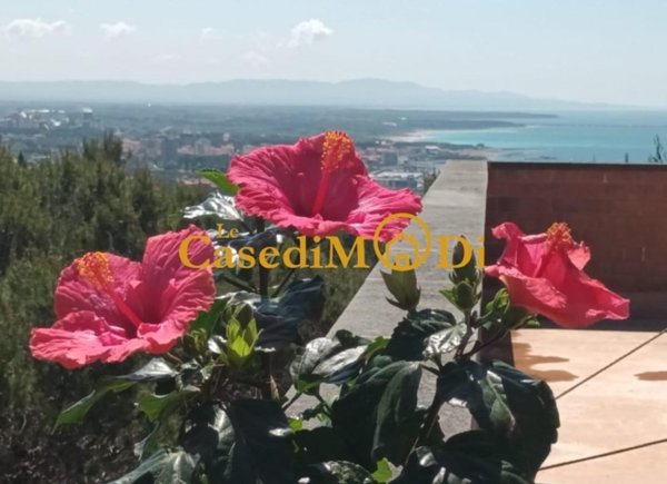 appartamento in affitto a Rosignano Marittimo in zona Castiglioncello