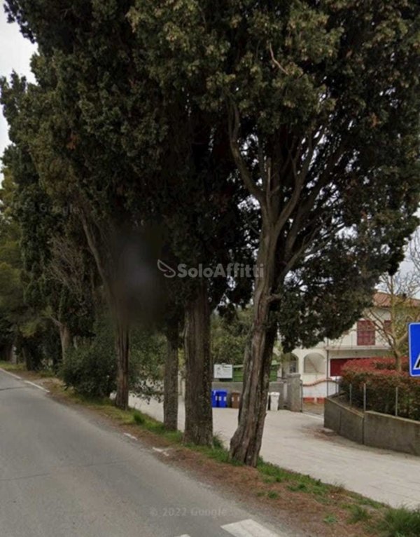 appartamento in affitto a Rosignano Marittimo