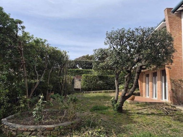 appartamento in affitto a Rosignano Marittimo in zona Castiglioncello