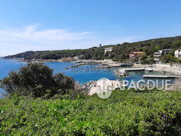 appartamento in affitto a Rosignano Marittimo