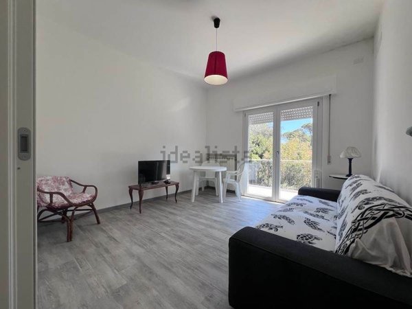 appartamento in affitto a Rosignano Marittimo in zona Castiglioncello