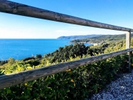 appartamento in affitto a Rosignano Marittimo