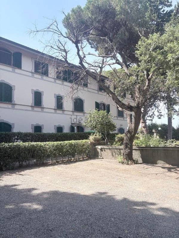 appartamento in affitto a Rosignano Marittimo in zona Castiglioncello