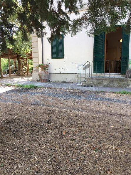 appartamento in affitto a Rosignano Marittimo