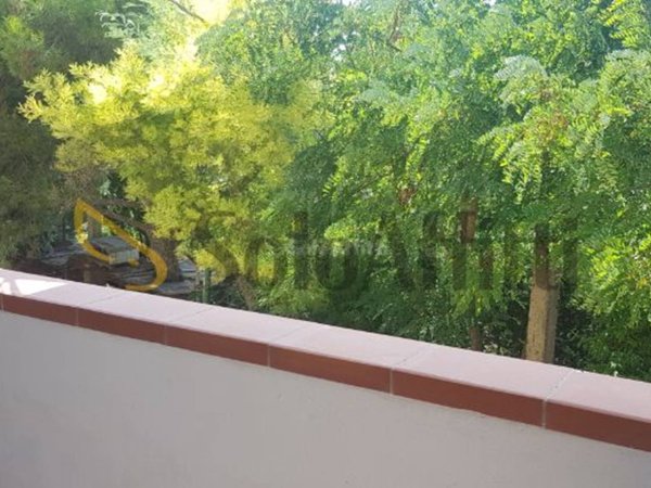appartamento in affitto a Rosignano Marittimo