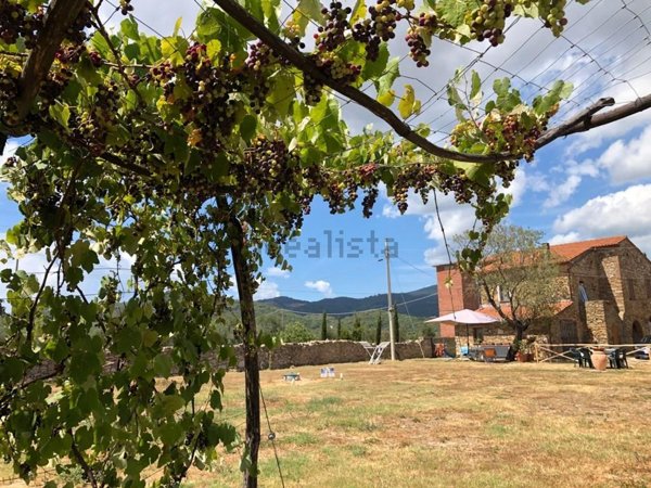 appartamento in affitto a Suvereto