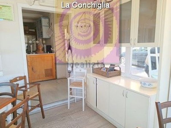 negozio in affitto a Rio in zona Rio nell'Elba