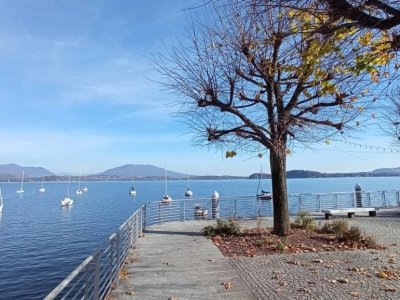 appartamento in affitto a Lesa