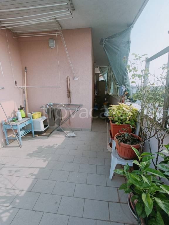 appartamento in affitto a Novara in zona zona Sant'Andrea - San Rocco