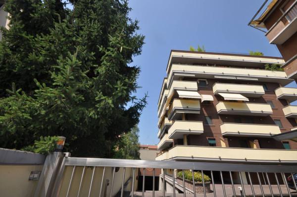 appartamento in affitto a Novara in zona Centro Città