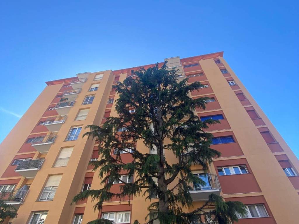 appartamento in affitto a Novara in zona zona Sacro Cuore