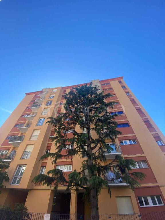 appartamento in affitto a Novara in zona zona Sacro Cuore