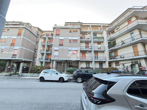 appartamento in affitto a Novara in zona zona Porta Mortara