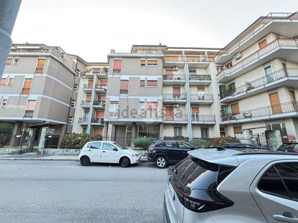 appartamento in affitto a Novara in zona zona Porta Mortara