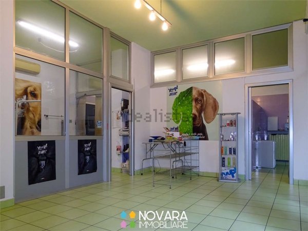 negozio in affitto a Novara