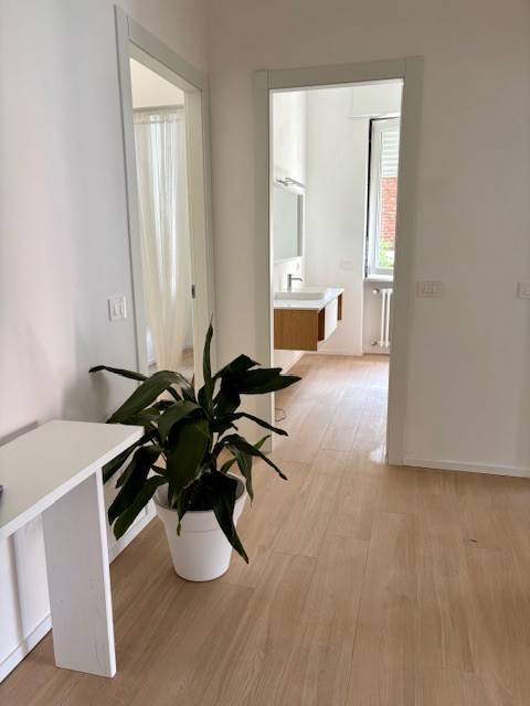 appartamento in affitto a Novara in zona zona Sacro Cuore