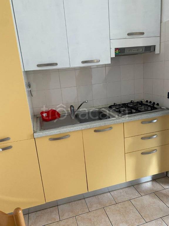 appartamento in affitto a Novara in zona zona Agogna - San Paolo