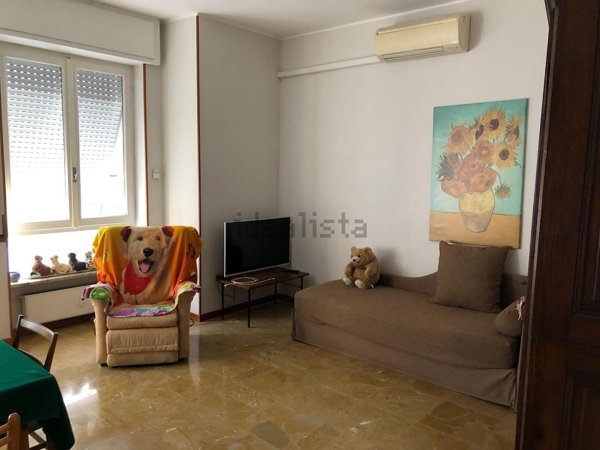 appartamento in affitto a Novara