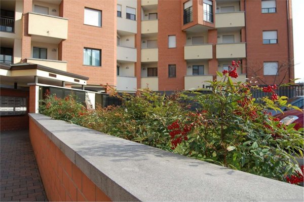 appartamento in affitto a Novara in zona Centro Città