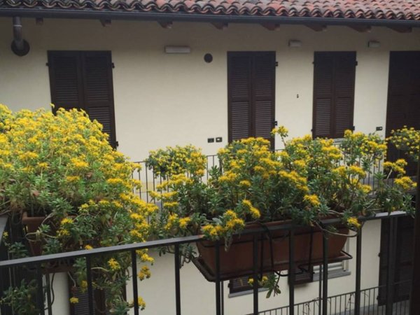 appartamento in affitto a Novara in zona Centro Città