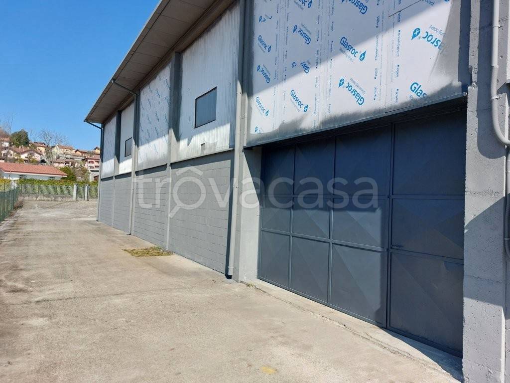 locale commerciale in affitto a Paruzzaro