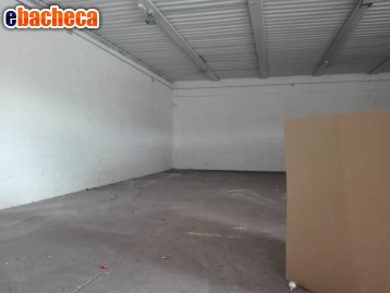 negozio in affitto a Bientina