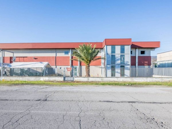 locale commerciale in affitto a Bientina