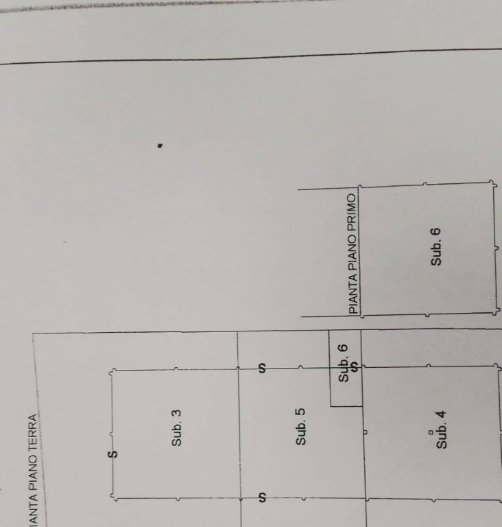 negozio in affitto a Bientina