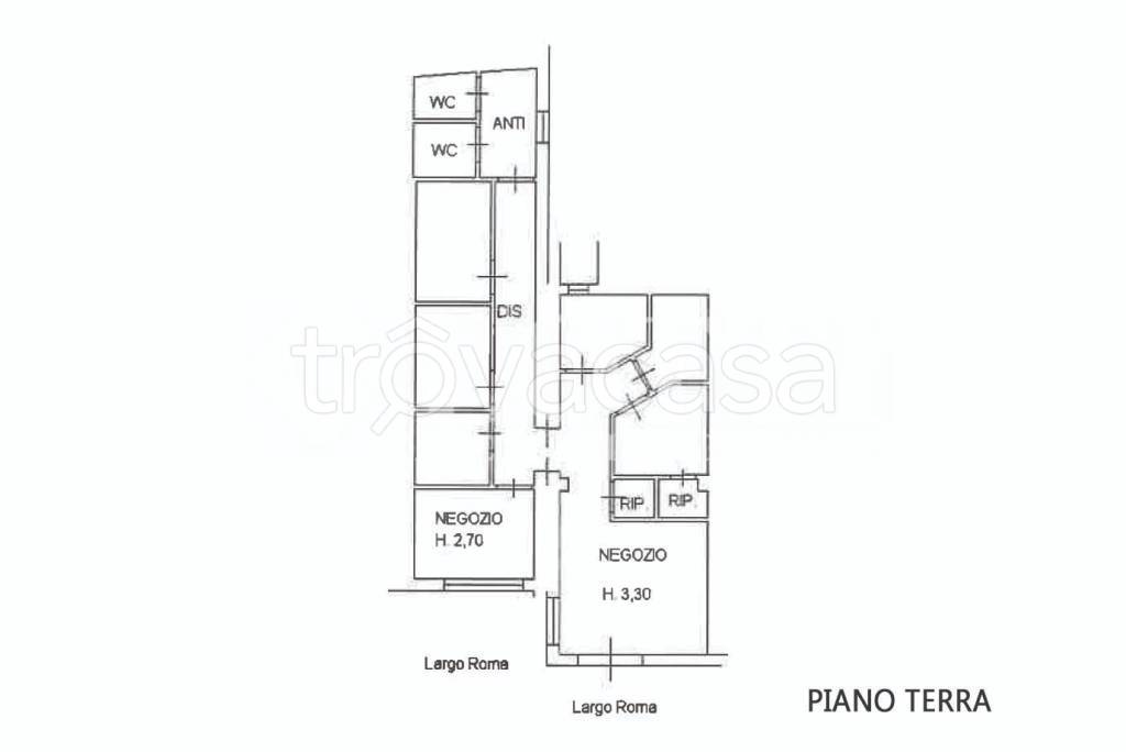negozio in affitto a Bientina