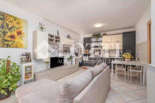 immagine annuncio 0 di 15