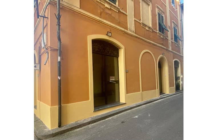 negozio in affitto a Bientina
