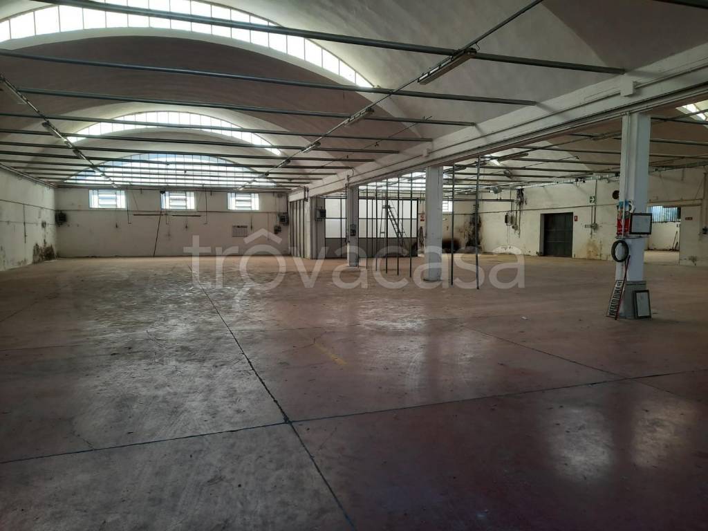 locale commerciale in affitto a Bientina