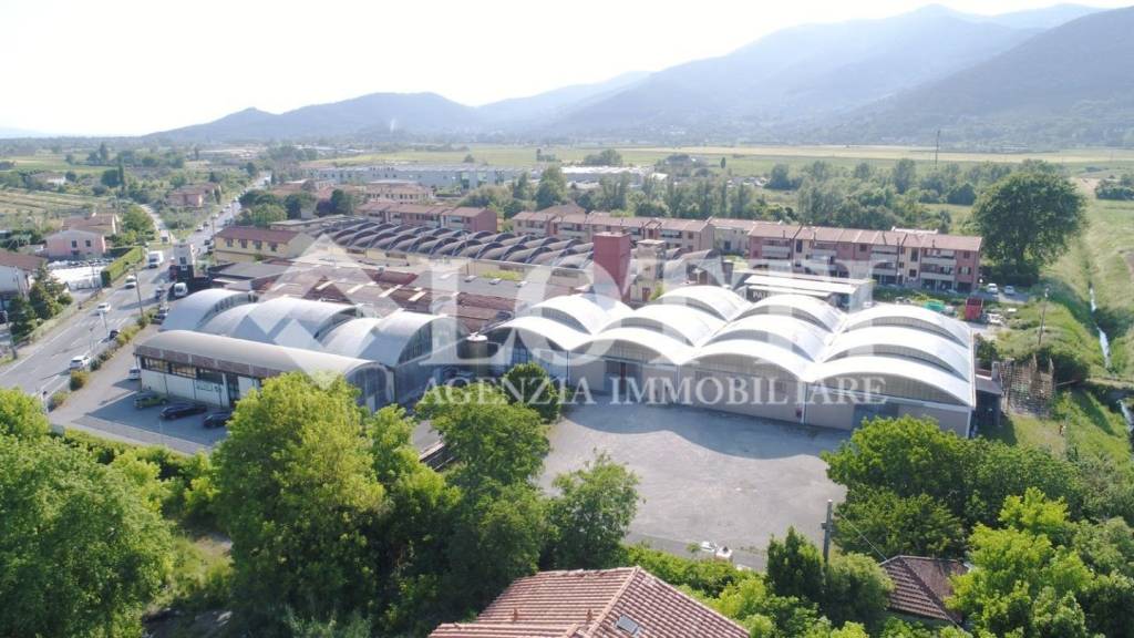 locale commerciale in affitto a Bientina