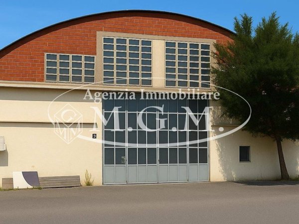 locale commerciale in affitto a Bientina