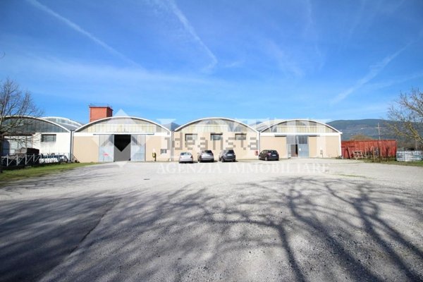 capannone in affitto a Bientina